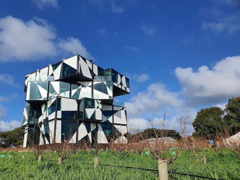Adelaide: McLaren Vale Private WineTour+Your Chosen Tastings - A Detailed Look at the Experience