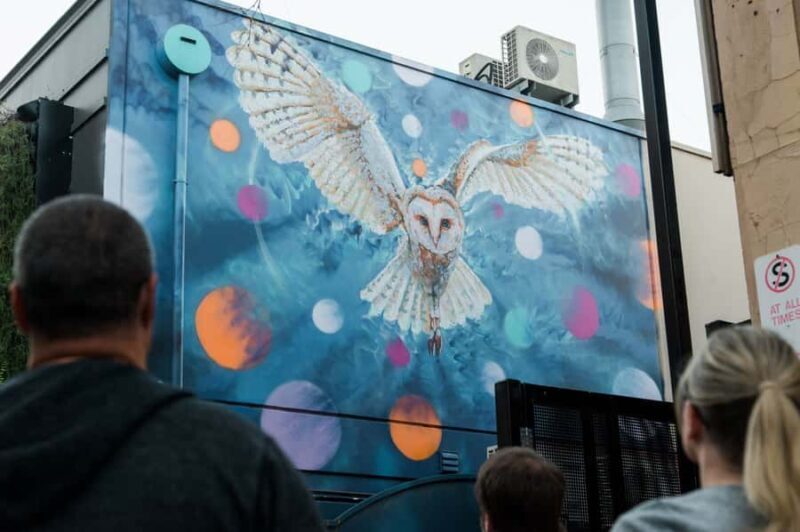 Adelaide: Paint and Palate Street Art Tour - The Details That Matter