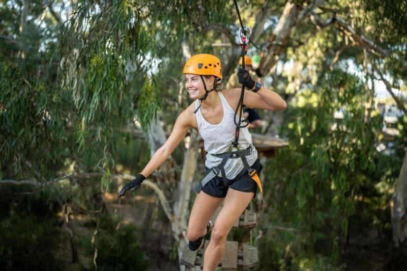 Adelaide: TreeClimb Adventure - Key Points