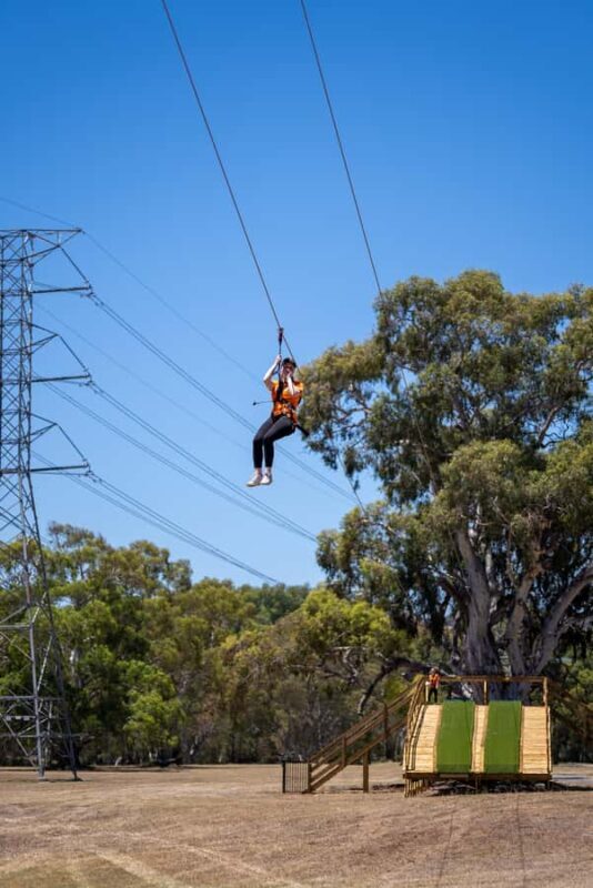 Adelaide: TreeClimb Adventure - What to Expect During Your TreeClimb Adventure
