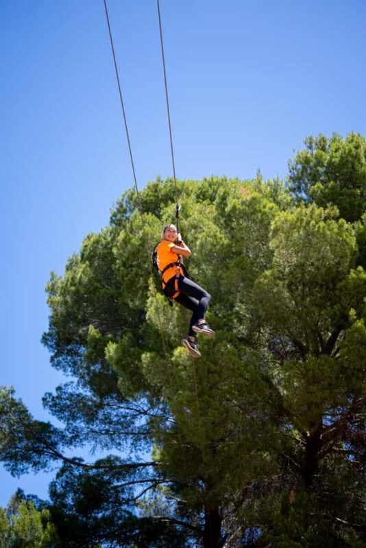 Adelaide: TreeClimb Adventure - Is It Worth the Cost?