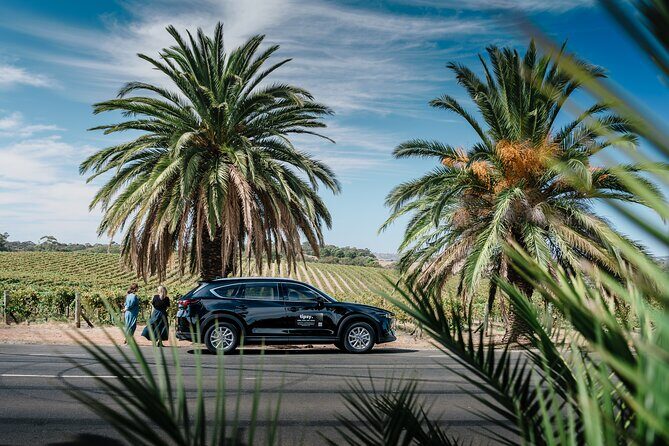 Adelaide's True Crime Tour - The Group & Practicalities