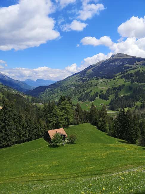 Adelboden: Countryside and Alpine Sightseeing Tour - An In-Depth Look at the Adelboden Tour