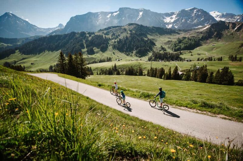 Adelboden: Worlds Largest Scooterland Adventure - An In-Depth Look at the Adelboden Scooterland Adventure