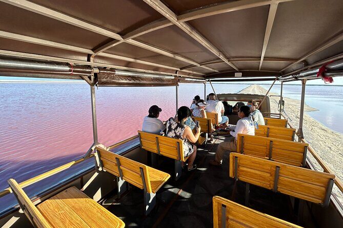 Admission Ticket to Safari in the Pink Lagoons of Las Coloradas - What You Can Expect from This Tour