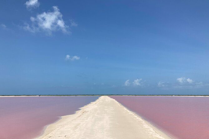 Admission Ticket to Safari in the Pink Lagoons of Las Coloradas - FAQs