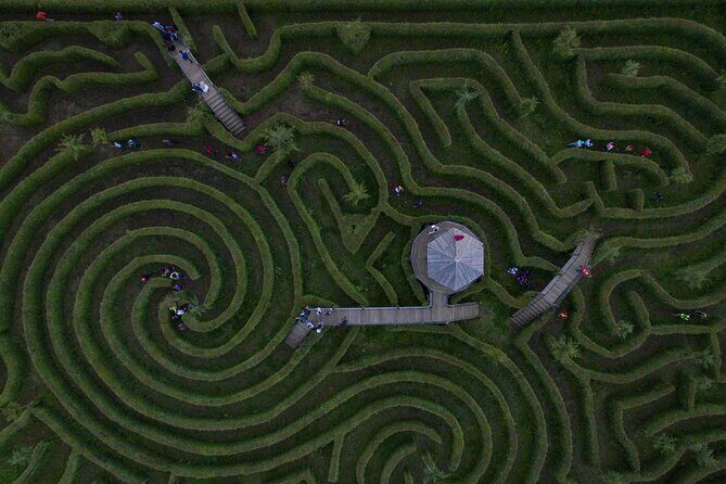 Admission to the Alpinia Nature and Adventure Park - What to Expect at Alpinia: A Deep Dive