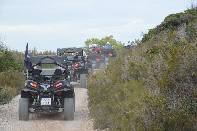 Adrenaline Quad Safari Tour - What Past Travelers Say