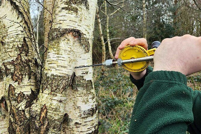 Adult Foraging Walk & Bushcraft Cookery Course for Beginners - Introduction