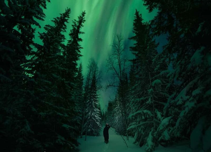 Adults Only Northern Lights Hunt in the Finnish Wilderness - The Experience of Watching the Northern Lights