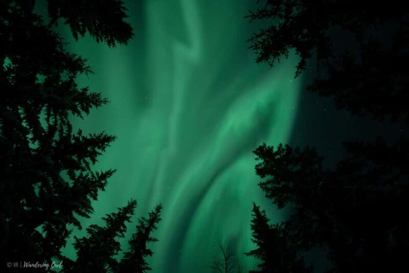 Adults Only Northern Lights Hunt with Snowshoeing - What to Expect on the Tour