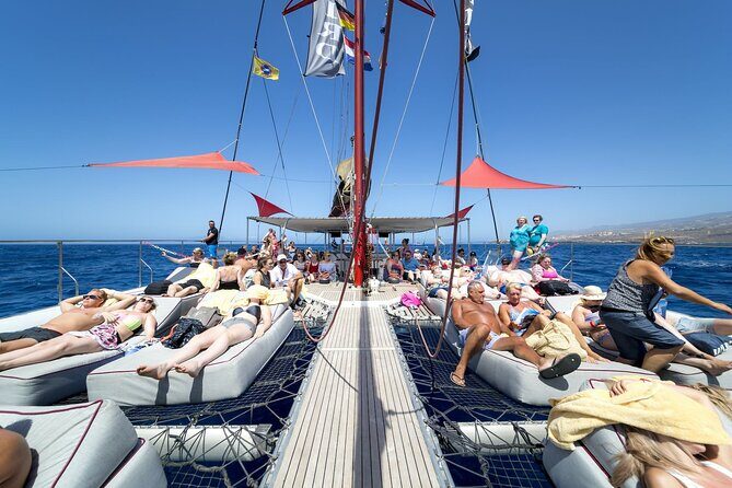 Adults Only Tenerife Freebird Whale Dolphin Catamaran with Lunch - Key Points