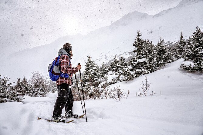 Advanced Snowshoeing Adventure - Who Is This Tour Best For?