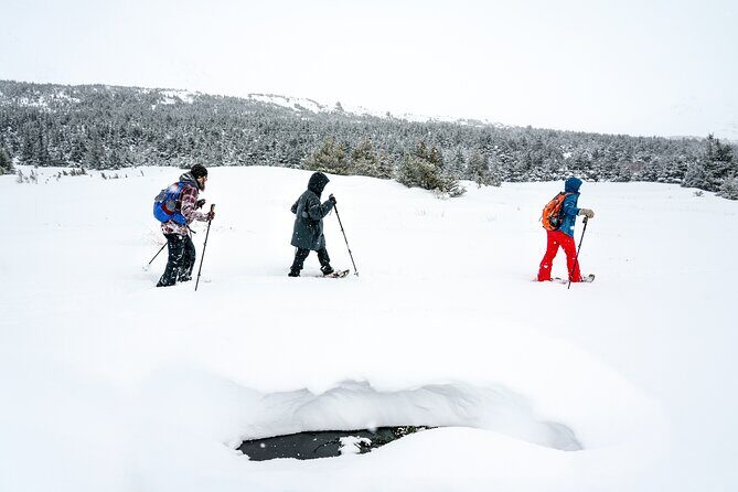 Advanced Snowshoeing Adventure - FAQ