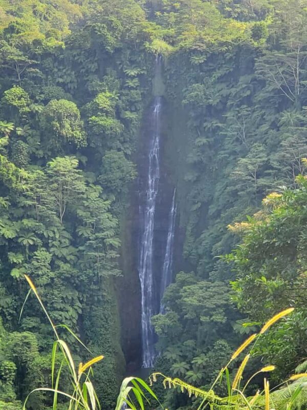 Adventour Samoa: Full Day Tour - FAQs about the Adventour Samoa Full Day Tour