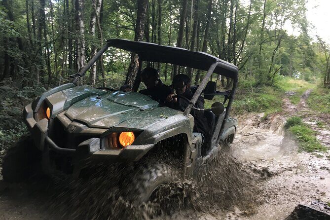 Adventure 1h with a 3-seater Buggy - Key Points