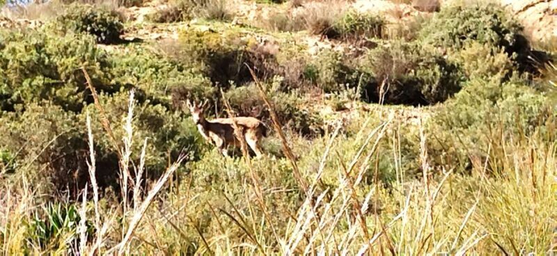 Adventure Cahorros, Monachil/ Climbing and abseiling Granada - Adventure Cahorros, Monachil/ Climbing and Abseiling Granada