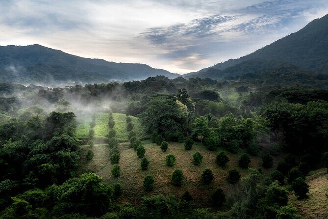 Adventure DE Ziplines and Exotic Gardens EN Huatulco - Final Thoughts