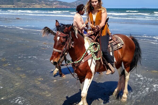 Adventure Delight The Ultimate Combo Ride at Desert Trails - Key Points