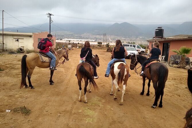 Adventure Delight The Ultimate Combo Ride at Desert Trails - Final Thoughts