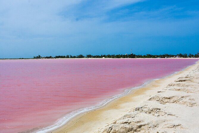 Adventure in Coloradas and Ría Lagartos and Cancunito - The Sum Up