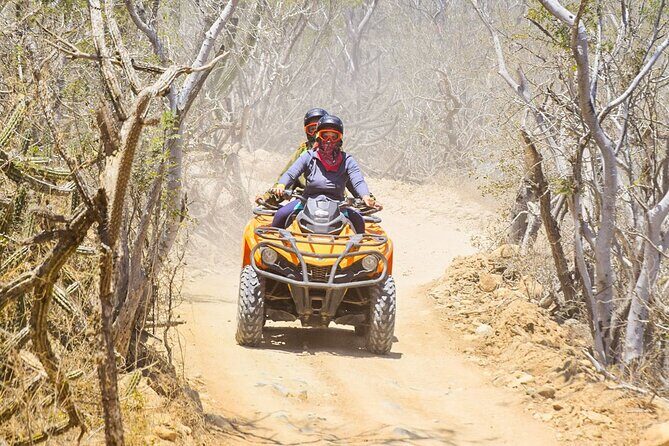 Adventure in Los Cabos Margaritas beach in ATV/UTV desert tour - FAQ