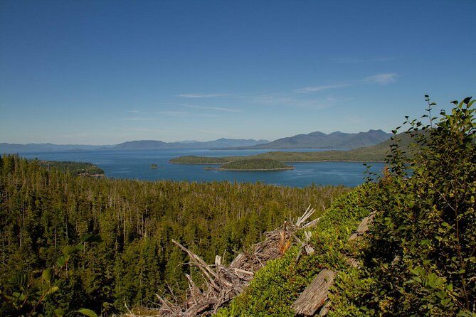 Adventure Kart Expedition- Ketchikan, AK - What to Expect from the Adventure Kart Expedition