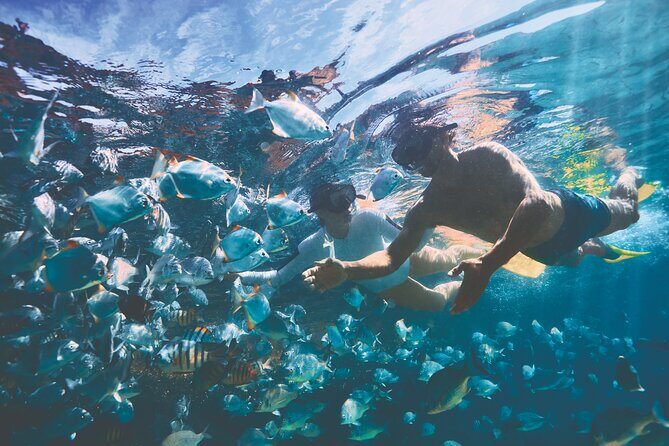 Adventure Moreton Island Scuba Dive Tour - Who Would Love This Tour?