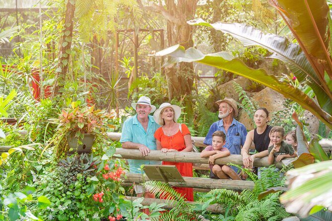 Adventure on a Budget Visit Kuranda or Palm Cove from Pt Douglas - A Genuine Look at the Tour Experience