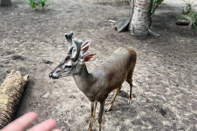 Adventure on the Emerald Coast Ventanilla, Mazunte, Puerto Ángel - Final Thoughts