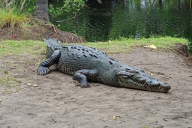 Adventure on the Emerald Coast Ventanilla, Mazunte, Puerto Ángel - FAQ