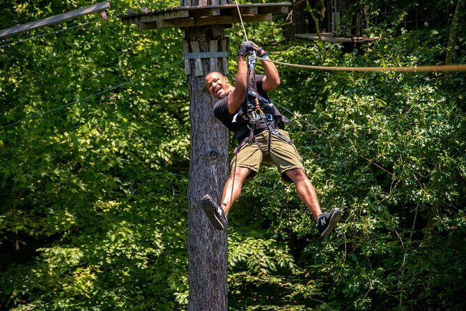 Adventure Park Ziplining and Climbing in Nashville - Key Points
