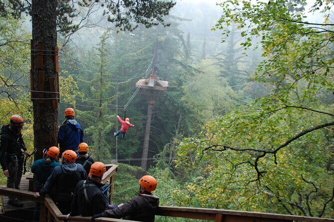 Adventure Parks & Zipline Tour - Exploring the Adventure Parks & Zipline Tour in Skagway: An Honest Look