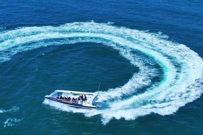 Adventure Rafting - Mooloolaba Turtle Tour - The Reviews Speak Volumes