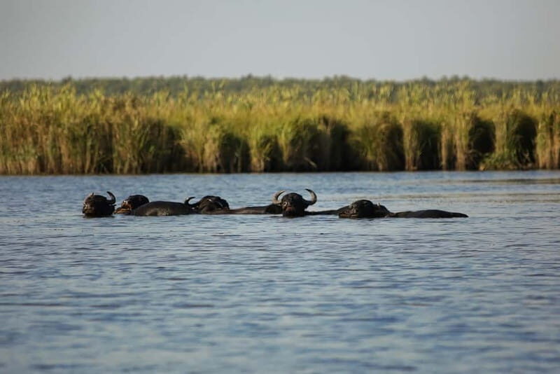 Adventure Tour In Georgia From Kutaisi - The Value of the Tour