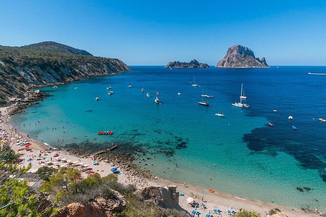 Adventurecat Half day tour - Boat Rental - No license required. - Is This Tour Right for You?