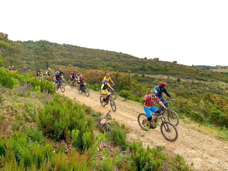 Adventurous Bike Tour to Tenuta la Chiusa with Tasting - The Highlights of the Tour