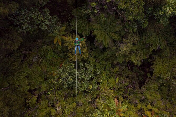 Adventurous Zipline Tour in Coromandel - What Is the Coromandel Zipline Tour?