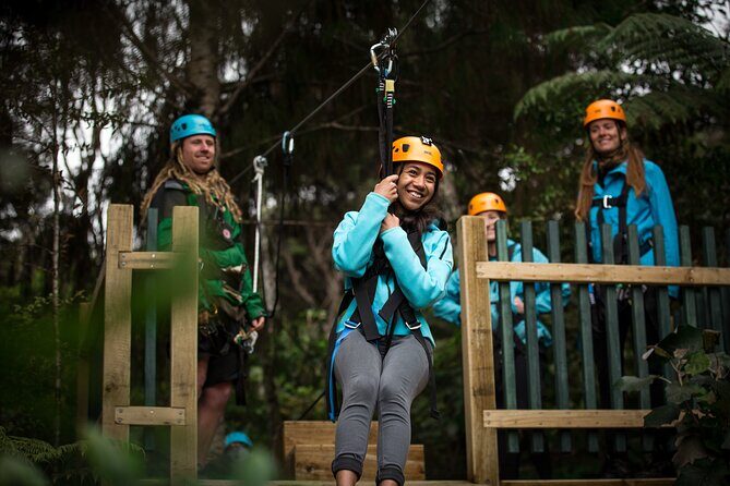 Adventurous Zipline Tour in Coromandel - Supporting Conservation and Arts