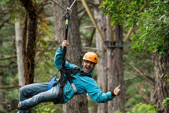 Adventurous Zipline Tour in Coromandel - Who Will Love This Tour?