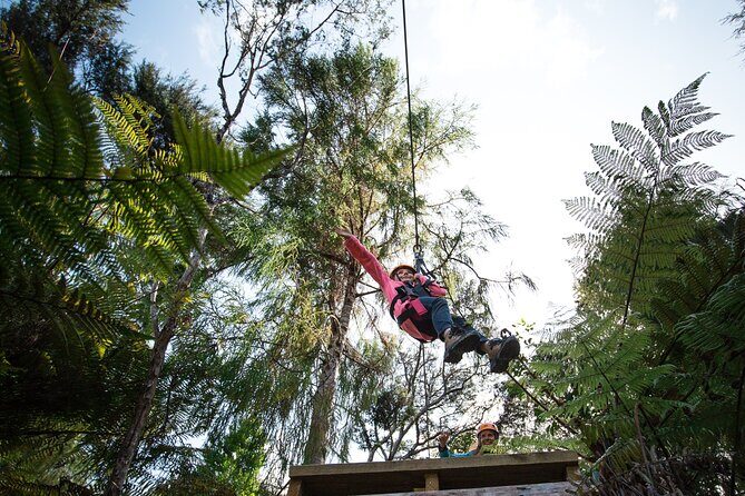 Adventurous Zipline Tour in Coromandel - Is It Worth the Price?