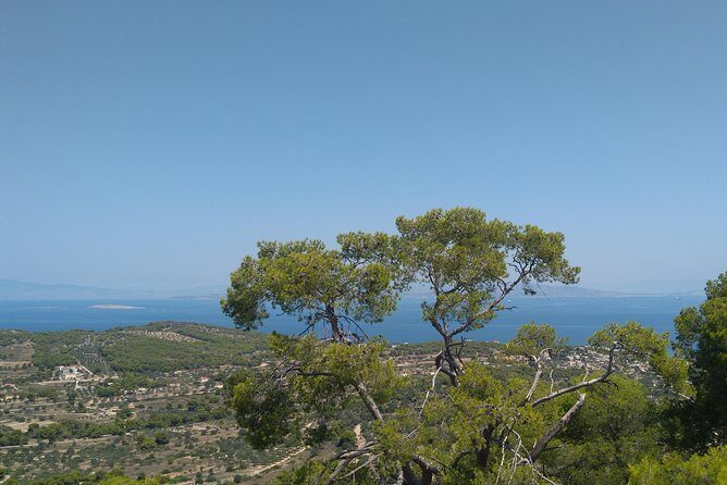 Aegina Island St Nektarios & Temple of Athina Aphaia Private Tour - The Detailed Experience: What to Expect on the Aegina Private Tour