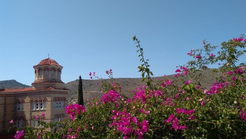 Aegina Island & Temple of Athina Aphaia Private Day Tour - Who Would This Tour Suit Best?