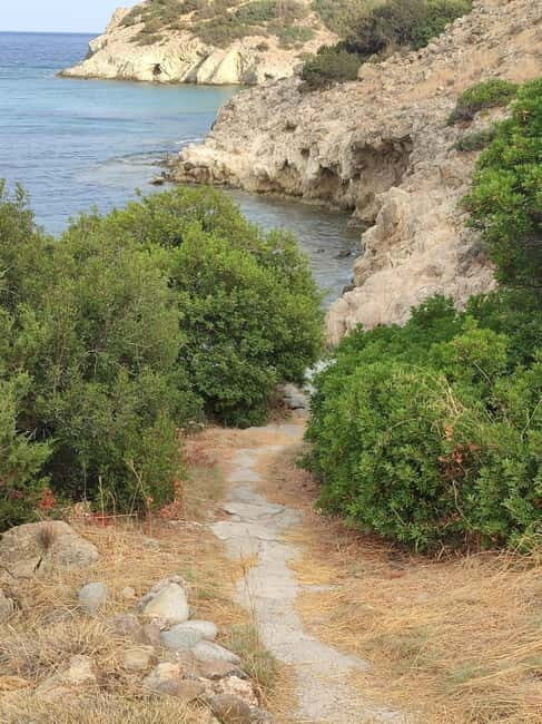 Aegina: Secret Beaches Alternative Tour - A Closer Look at the Tour Experience