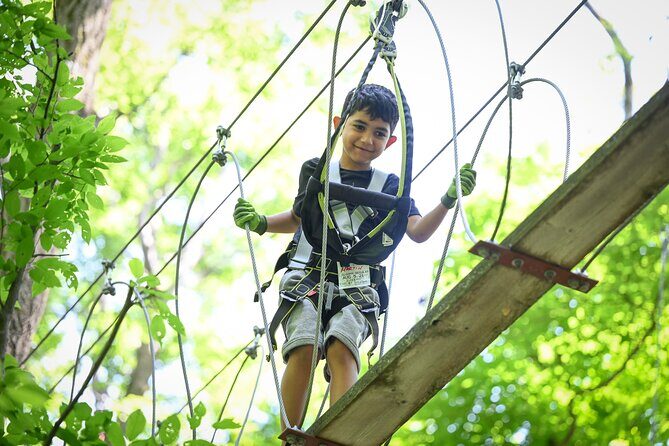 Aerial Adventure Park Admission - Key Points