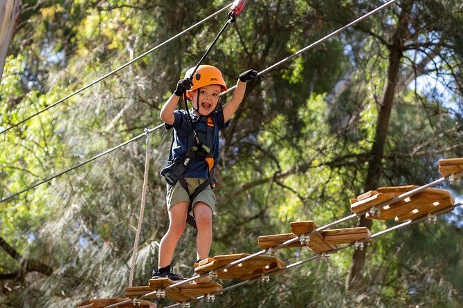 Aerial Fun & Ziplining for Our Littlest Adventurers in Salisbury - What to Expect During the Climb