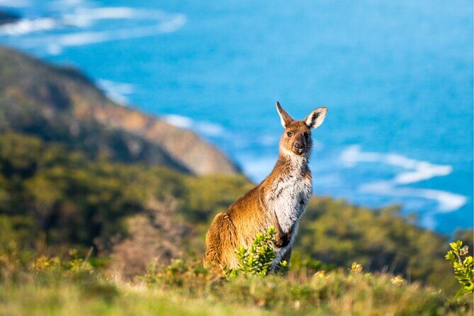 Aerial Fun & Ziplining for Our Littlest Adventurers in Salisbury - The Sum Up