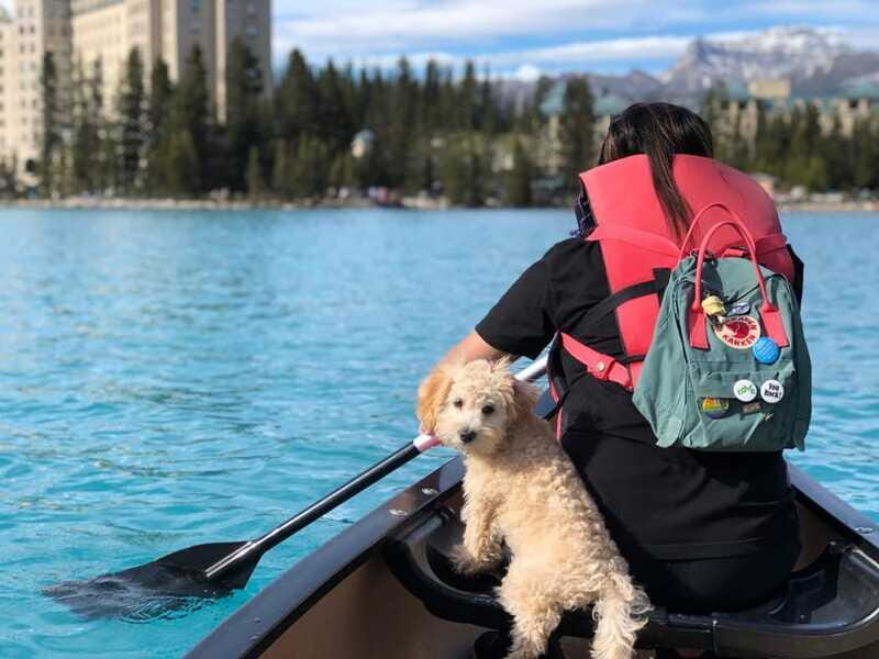 Affordable Banff, Lake Louise & Moraine Lake DayTrip Shuttle - The Bottom Line: Is This Tour Right for You?