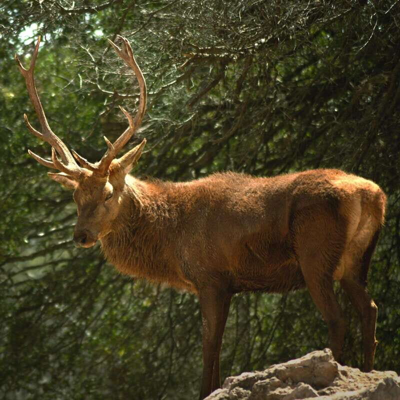 Africam Safari Conservation Park - The Itinerary and What to Expect