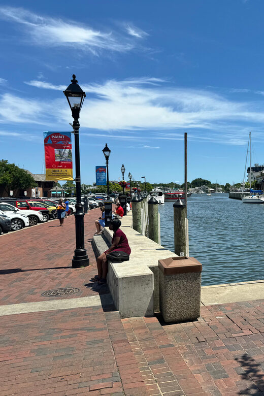 African American Tour Of Annapolis From Washington DC - The Value of This Tour